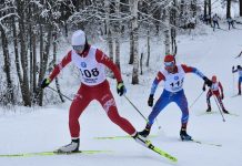 Сборная команда Кадомского района по лыжным гонкам уехала на тренировочные сборы в Архангельскую область