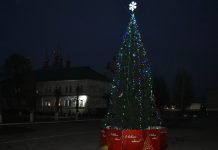 В центре Кадома установили новогоднюю ель
