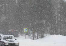 В трех школах Кадомского округа отменили занятия из-за снегопада