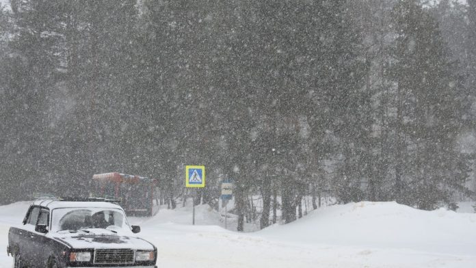 Кадом_снегопад_17.02.26