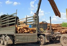 Из Кадома отправили гуманитарную помощь на СВО
