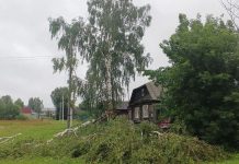Из-за сильного ветра населенные пункты Кадомского округа остались без электричества