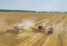 Рязанские аграрии собрали миллион тонн зерна