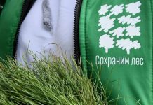 Губернатор Павел Малков: В Рязанской области продолжается Всероссийская акция «Сохраним лес»